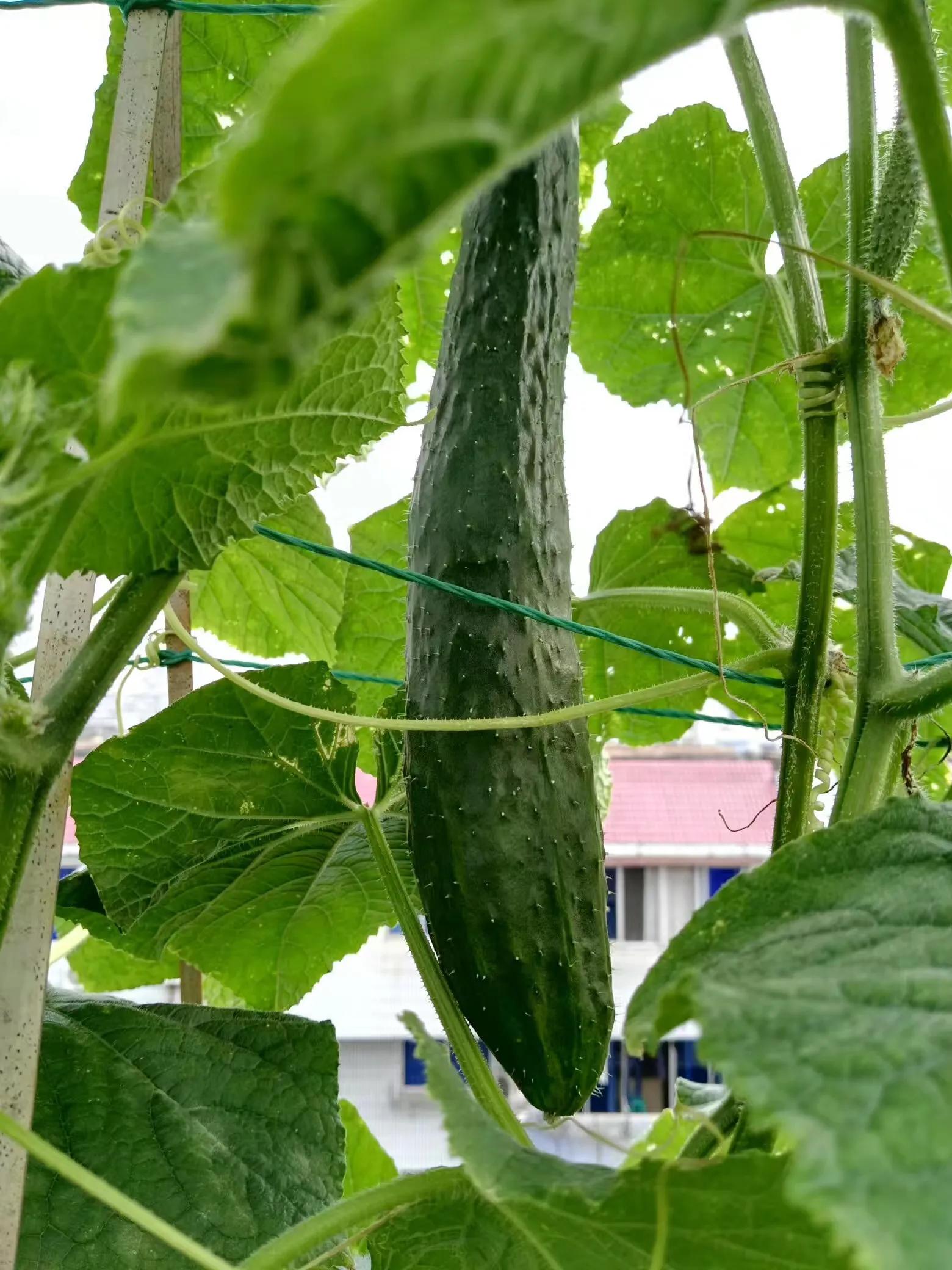 腰疼补硒可以吗（补硒药可以长时间服用吗）-硒宝网