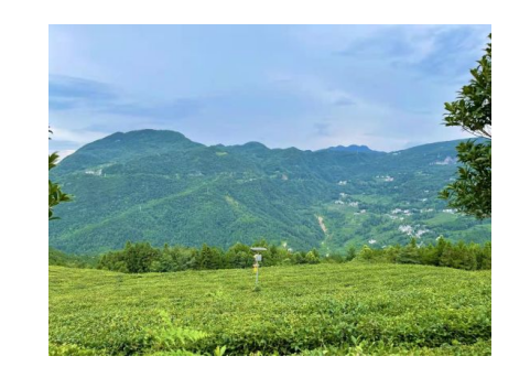 最好的补硒乒品（补硒保健品哪种好）-硒宝网