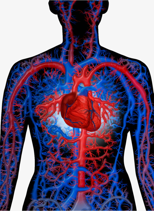 螺旋藻可以补硒（螺旋藻补硒可以长期吃吗）-硒宝网