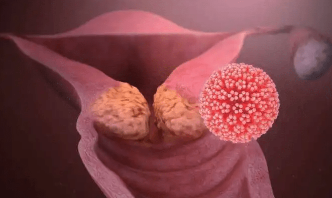 人能天天补硒吗（硒可以食补吗）-硒宝网