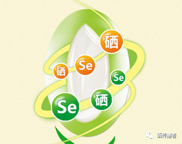 身体怎么样补硒（硒怎样补）-硒宝网