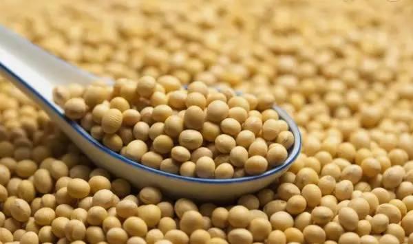 补硒会不会缺钾(补钾补硒)-硒宝网