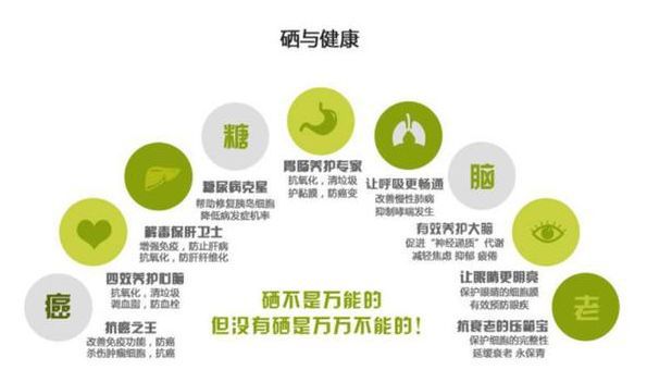 补硒恢复肝功能(肝病患者补硒)-硒宝网