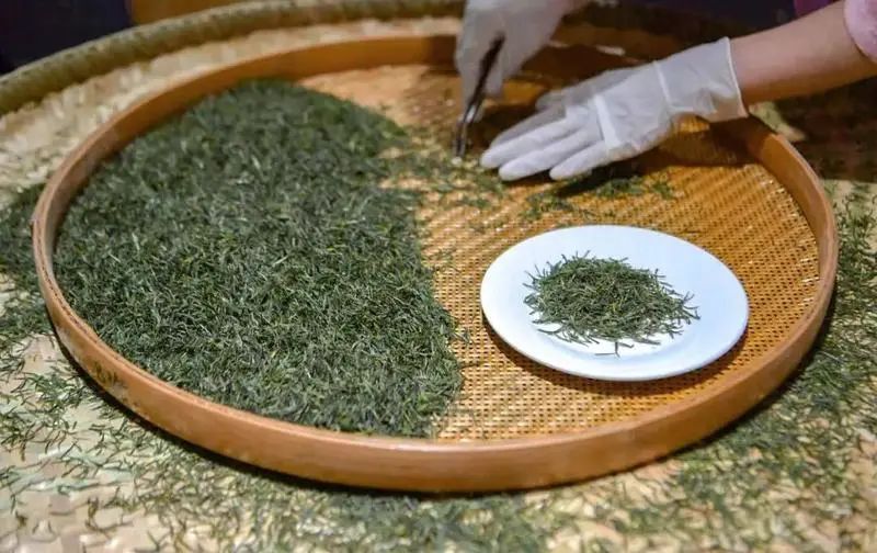 喝绿茶能补硒吗（绿茶能喝补硒的药吗）-硒宝网