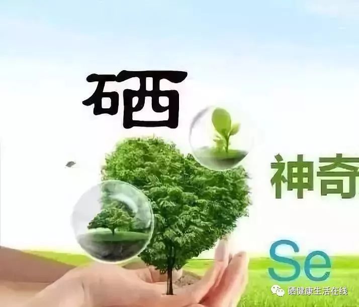 人体不需要补硒（人体补硒一天需要补多少）-硒宝网