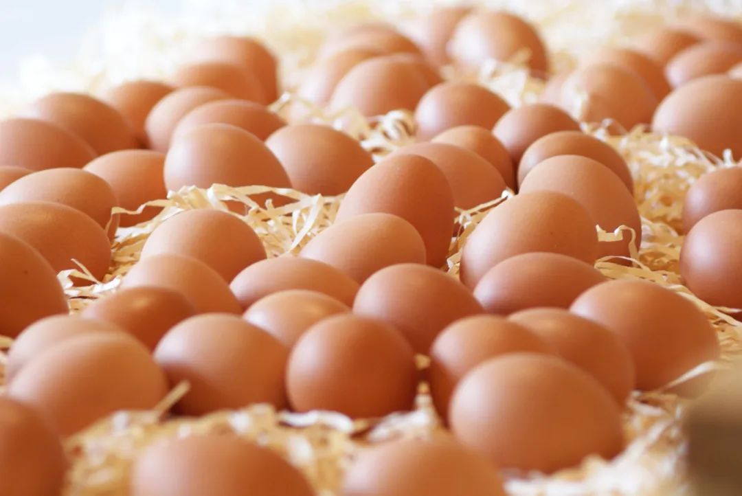 鸡蛋粉能补硒吗(鸡蛋能补粉硒嘛)-硒宝网