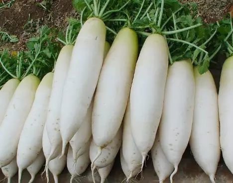 补麦芽硒维e片(麦芽硒维e片的副作用)-硒宝网