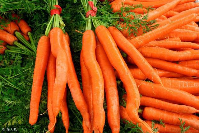 补麦芽硒维e片(麦芽硒维e片的副作用)-硒宝网