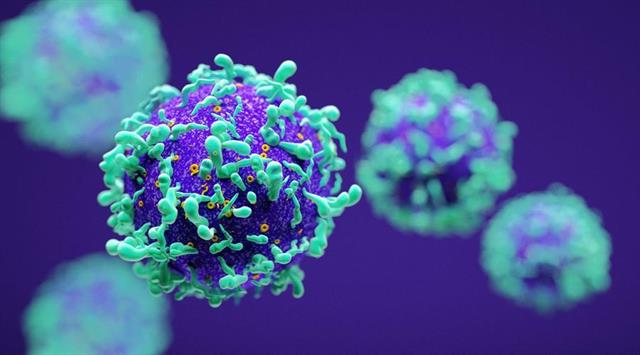 吃洋葱能补硒吗（洋葱含硒）-硒宝网