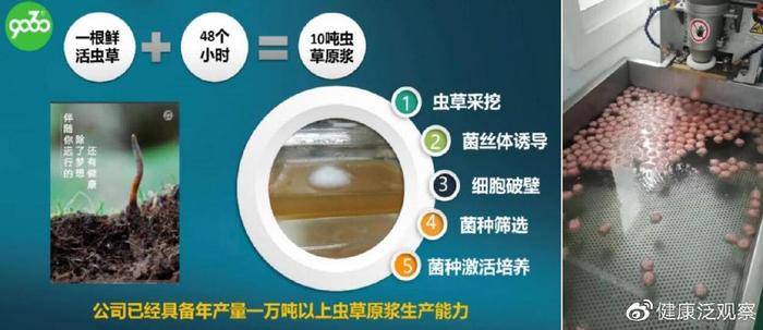 富硒虫草肽双补(补充富硒虫草肽)-硒宝网