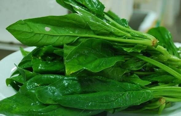 心脏病补哪种硒（心脏病可以补硒吗）-硒宝网