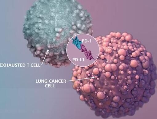 补硒治疗乳腺癌（乳腺癌补硒一天用量是多少）-硒宝网