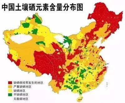 甲减要补硒元素(补元素硒要甲减吃多久)-硒宝网