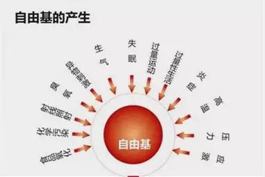 甲减要补硒元素(补元素硒要甲减吃多久)-硒宝网