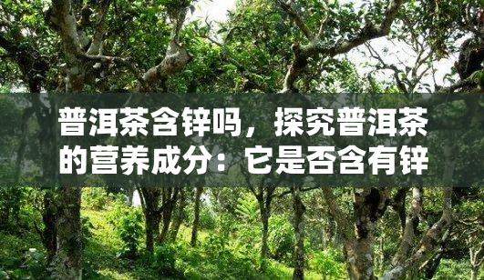 补硒100毫克(补硒100ug)-硒宝网