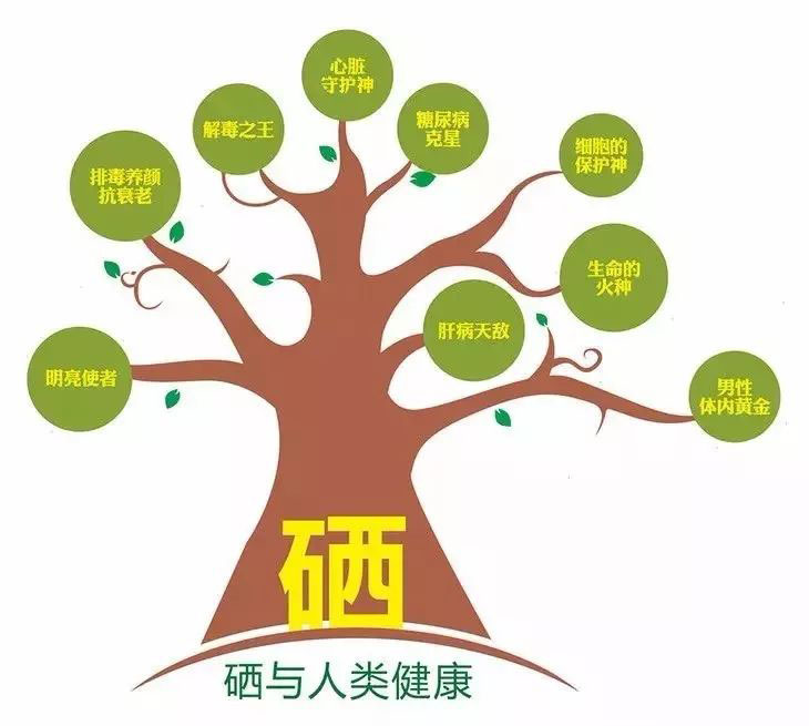 酒精肝补硒好吗(酒精肝补充什么维生素)-硒宝网