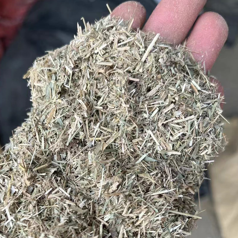 大羊要补多少硒（羊补硒用什么药了）-硒宝网