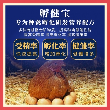 补硒鸡蛋怎喂的（含硒鸡蛋的营养）-硒宝网