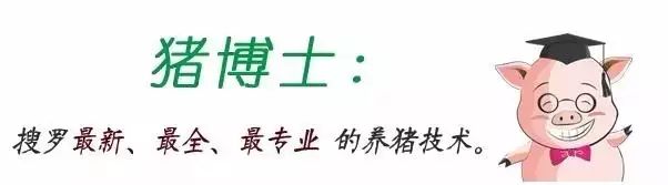 母猪补硒怎么办(母猪缺硒对仔猪影响)-硒宝网