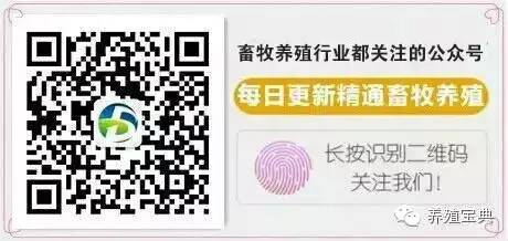 母猪补硒怎么办（母猪缺硒什么症状）-硒宝网