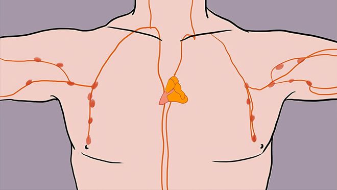 心肌炎为啥补硒（心肌炎适合用什么补）-硒宝网