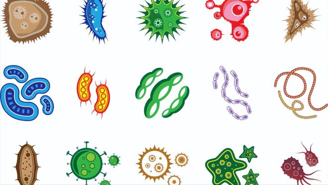 心肌炎为啥补硒（心肌炎适合用什么补）-硒宝网
