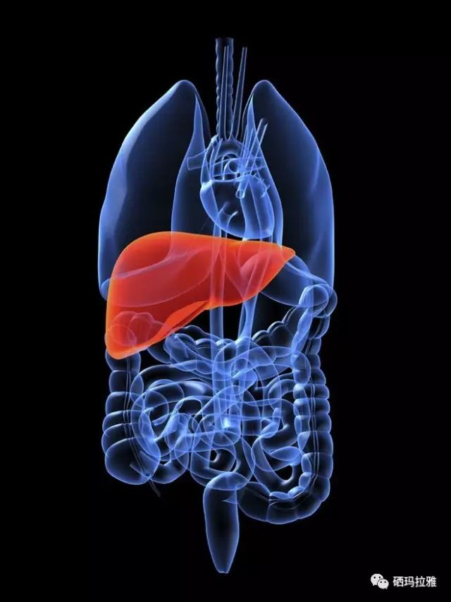 乙肝患者补硒吗(补患者乙肝硒多少钱)-硒宝网