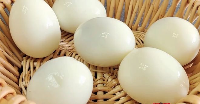 孕初期能补硒吗(孕初期能补硒元素吗)-硒宝网