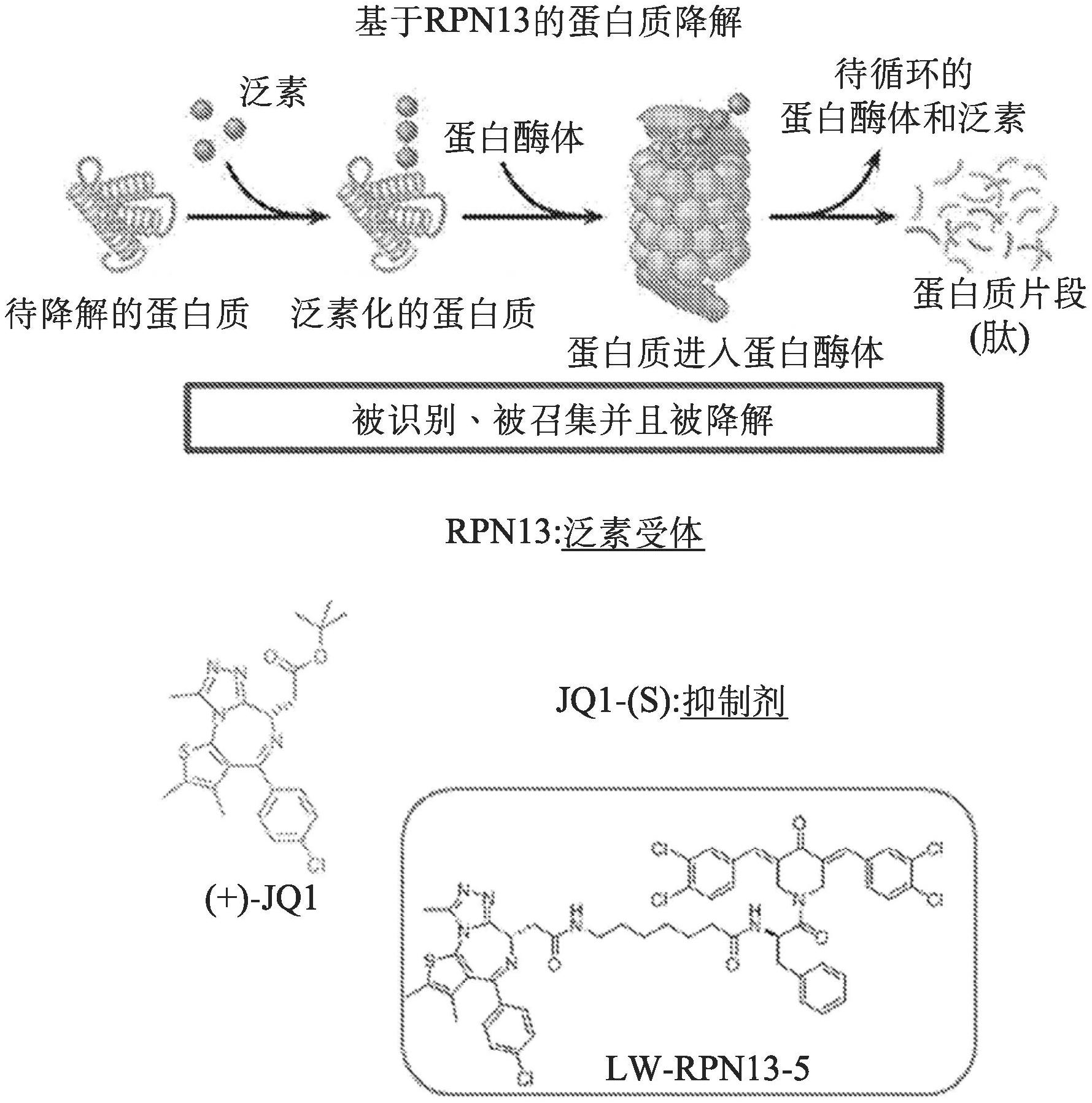 低蛋白能补硒吗(蛋白能补低硒元素吗)-硒宝网