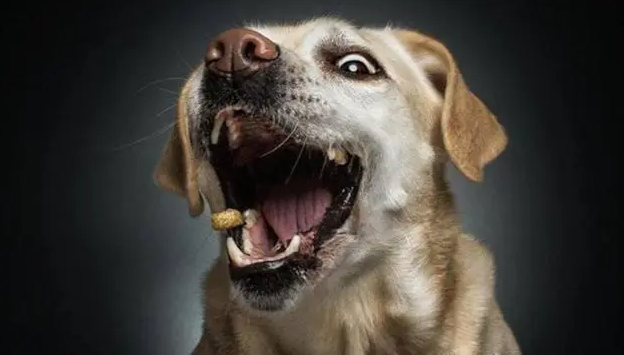 补硒能长肌肉吗(补硒可以长高吗)-硒宝网