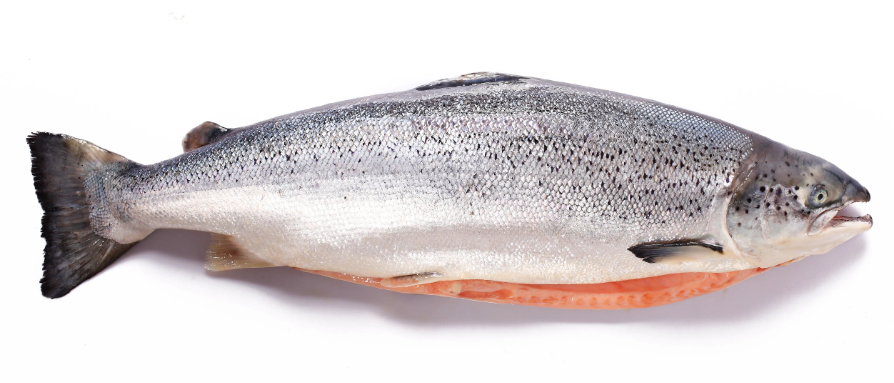 补硒能长肌肉吗(补硒可以长高吗)-硒宝网