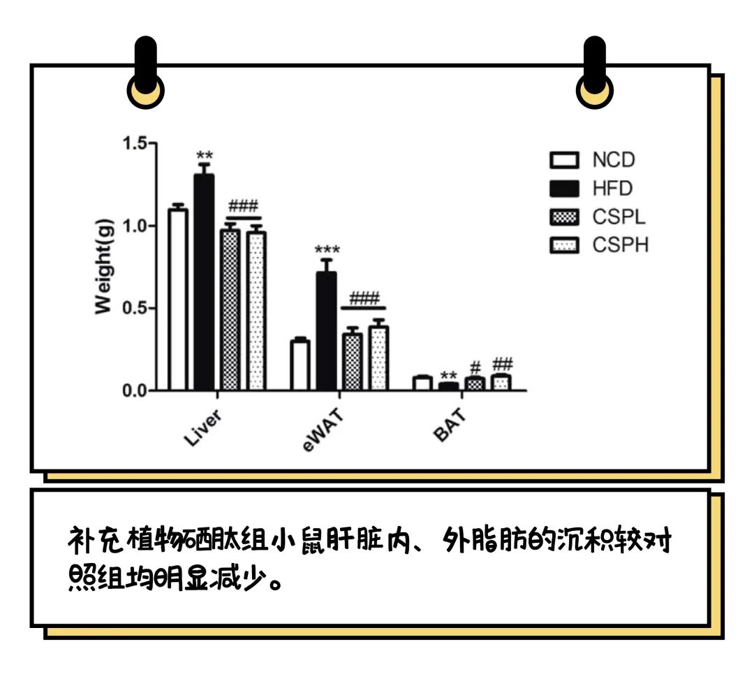 肝癌补硒可以吗(肝癌患者吃硒有用吗)-硒宝网