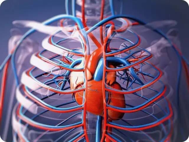 冠心病要补硒吗(冠心病补硒要吃多久)-硒宝网