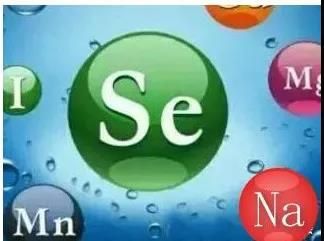 全民补硒日是谁(全民补硒是国家工程吗)-硒宝网