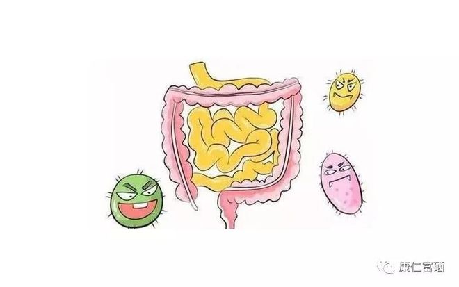 全民补硒日是谁(全民补硒是国家工程吗)-硒宝网