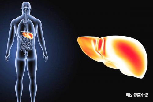 炒麦芽能补硒吗(补麦芽硒的作用与功效)-硒宝网