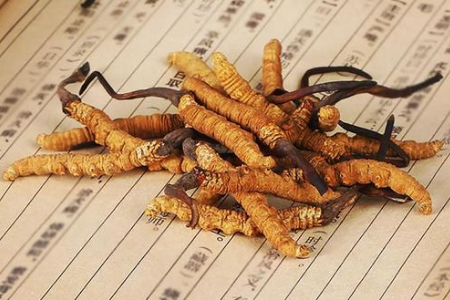 补硒肽的副作用(硒肽的副作用)-硒宝网