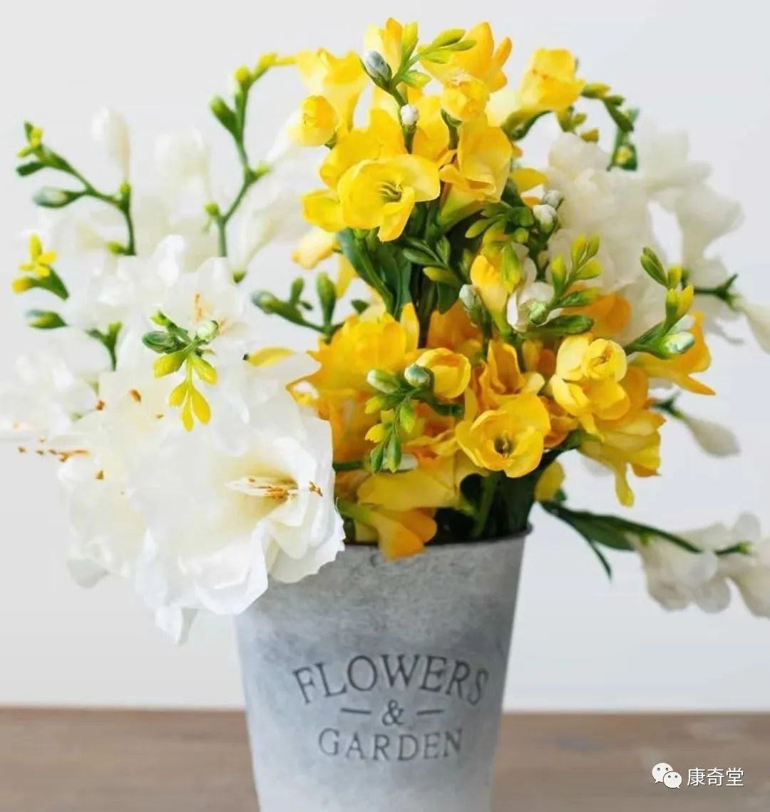 吃植物补硒够吗（植物硒补多了对人体有害吗）-硒宝网