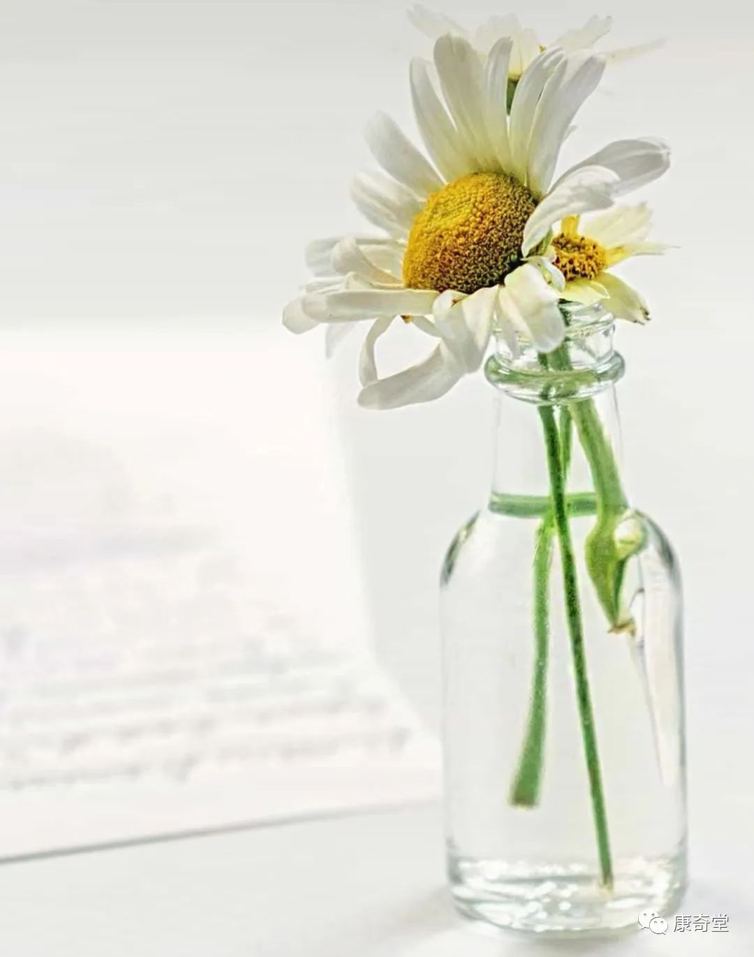 吃植物补硒够吗（植物硒补多了对人体有害吗）-硒宝网