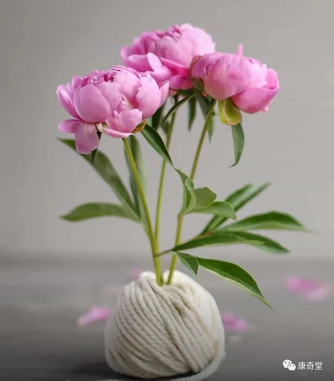 吃植物补硒够吗（植物硒补多了对人体有害吗）-硒宝网