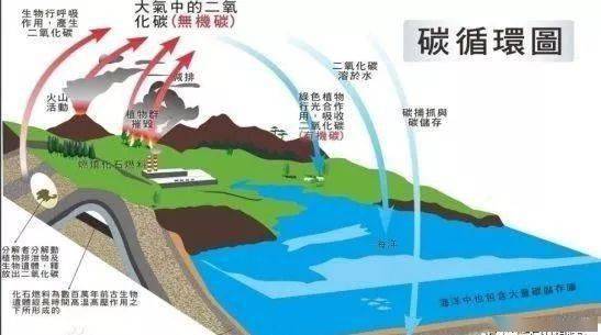 缺钾锌硒怎么补（缺锌硒会导致什么）-硒宝网