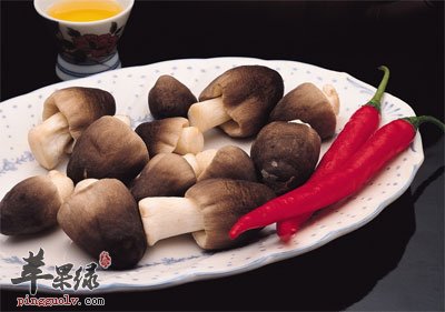 人能随便补硒吗（能随便补硒吗）-硒宝网