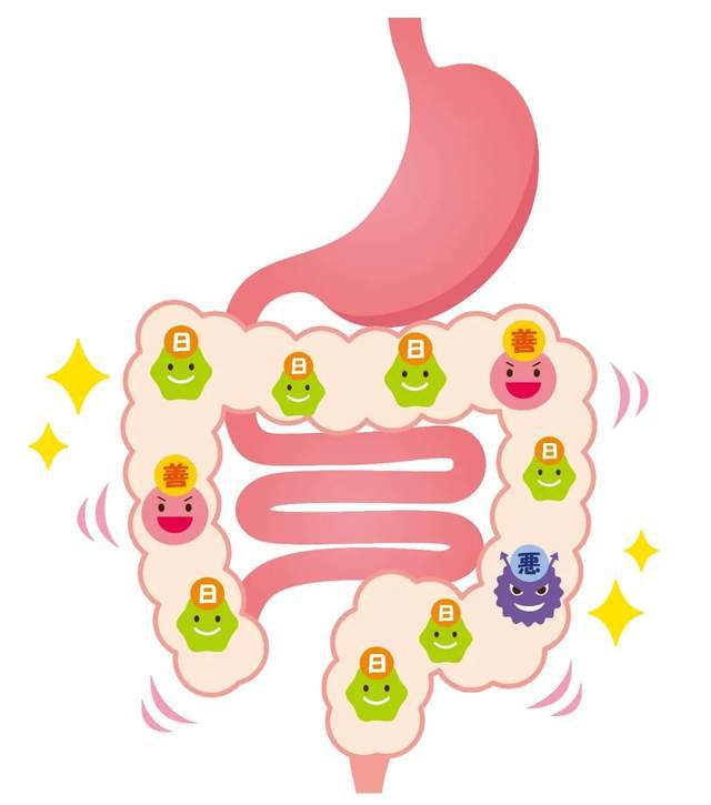 补硒对肝肾好吗(补硒肝脏)-硒宝网