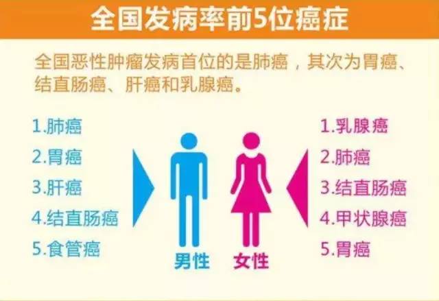 吃植物补硒够吗(吃植物硒有什么好处)-硒宝网