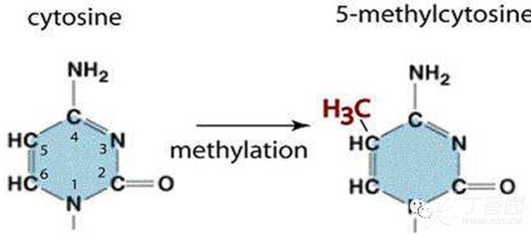 乳腺癌补硒水果（乳腺癌补硒）-硒宝网