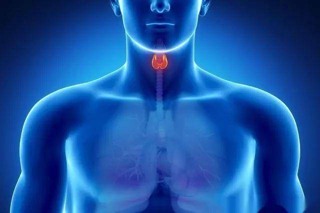 甲减需要补硒嘛（甲减补硒要补多长时间）-硒宝网