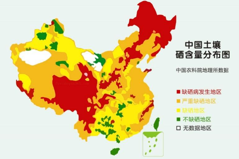 食疗补硒抗癌药（抗癌补硒用量）-硒宝网