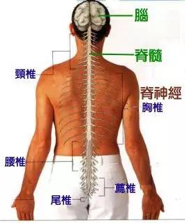 肺气肿能补硒吗（硒对肺部的作用）-硒宝网