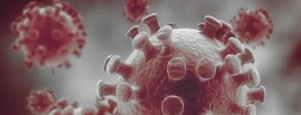 食疗补硒抗癌药(食疗抗癌药补硒效果好吗)-硒宝网