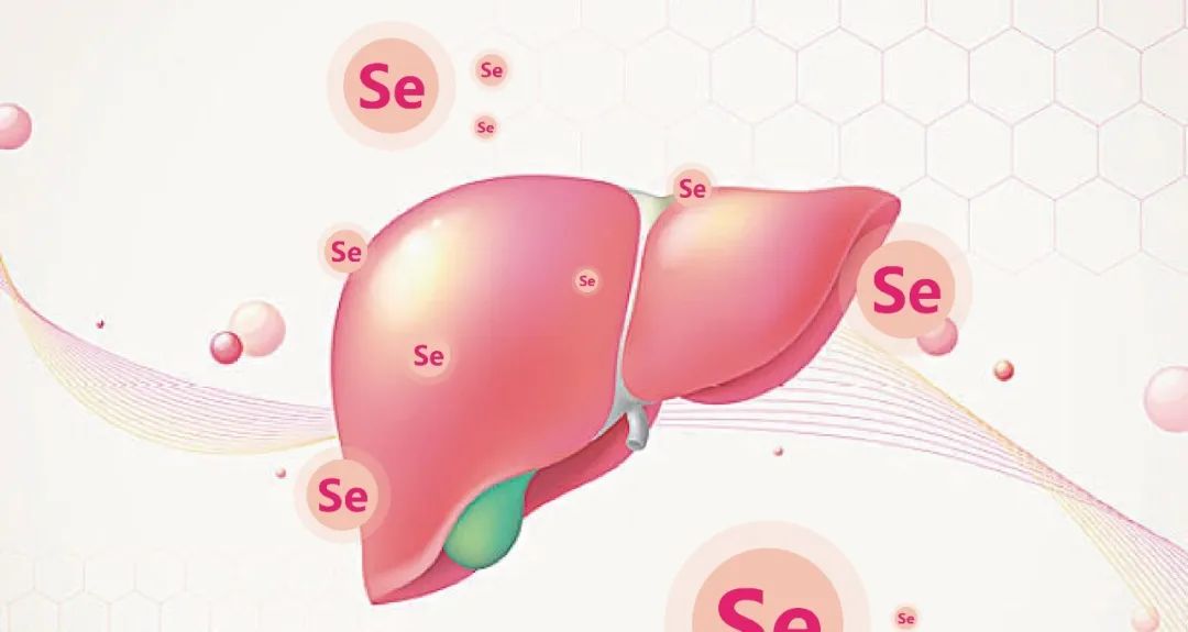 食疗补硒抗癌药(食疗抗癌药补硒效果好吗)-硒宝网